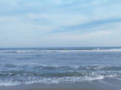 -渡海小渔村.老辈日照菜