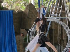 -泉州海丝野生动物世界