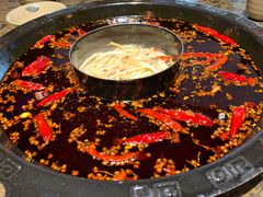 南北鸳鸯锅-重庆渝达老火锅(春熙路店)