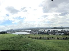 -城山辣炒黑猪肉