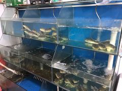 河豚鱼-瀏河老街土菜館(浏河店)