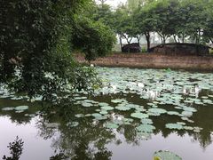 -烟桥古村