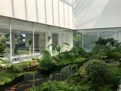 -罗红摄影艺术馆