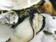 特大蒸生蚝-蚝专家(北滘店)