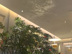 -Aqua Oasis 水天堂(太湖中心mall店)