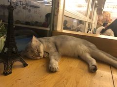 -小时光咖啡馆(北锣鼓巷店)