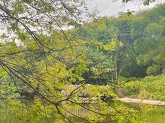 -深圳国际园林花卉博览园