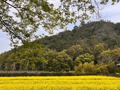 -西湖文化广场