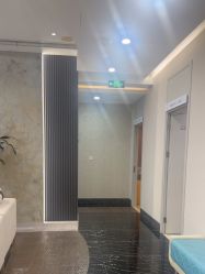 -上海首尔丽格医疗美容医院