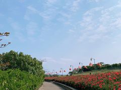 -深圳湾公园(南山区)