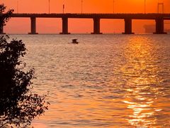 -宝安西湾红树林湿地公园