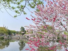 -无锡蠡湖国家湿地公园-蠡园