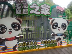 -中国大熊猫保护研究中心雅安碧峰峡基地