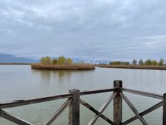-野鸭湖国家湿地公园