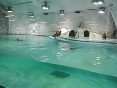 -北戴河圣蓝海洋公园