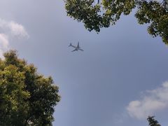 -上海鲜花港