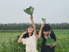 -西青郊野公园