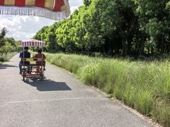 -嘉北郊野公园