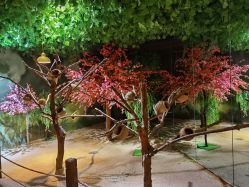 -酷嗒动物文化乐园(cutezoo西溪乐天城店)