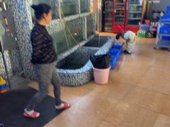 -古榕农庄·桑拿簸箕菜·招牌泥焗鸡(清远长隆店)