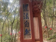 -老君山