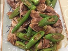 -鸭味飞飞