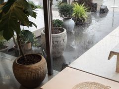 -喜茶(珠海华发商都店)