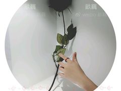 -深圳失恋博物馆再见前任(汇商名苑店)