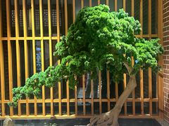 -囍榷·鲜美常州菜(恐龙园店)