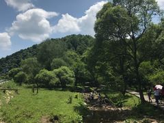 -大水川景区