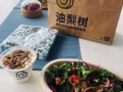 -油梨树AVOCADO TREE(嘉里中心店)