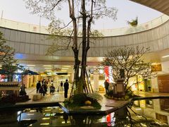 -厦门高崎国际机场-T3航站楼
