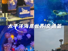 -太平洋海底世界