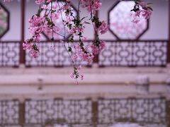 -莫愁湖公园