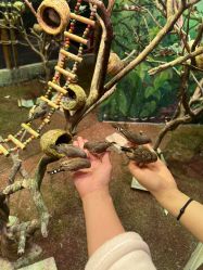 -Zoolung Zoolung动物主题公园(海信广场店)