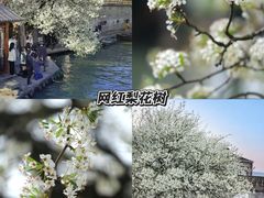 -晓琦农家菜馆·地道农家菜