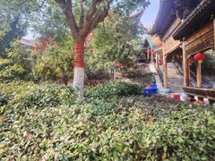 -开福禅寺