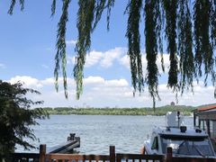 -西湖外事游船(花港观鱼码头)