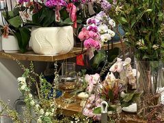 -卓花境Flowerwonderland花店