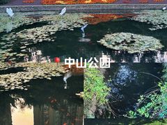 -中山公园