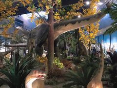 -湖南省地质博物馆