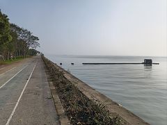-贡湖湾湿地公园