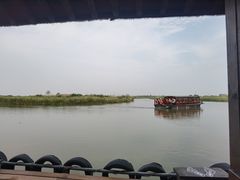 -宁波杭州湾国家湿地公园