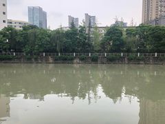 -成都市活水公园