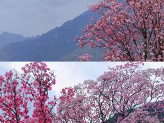-九皇山景区