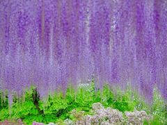 -颐和园