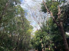 -南国桃园旅游度假区