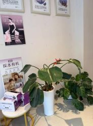 点击看大图 -Dr.林醫生产后修复·配方产康店(南京大厂店)