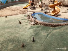 -青藏高原野生动物园