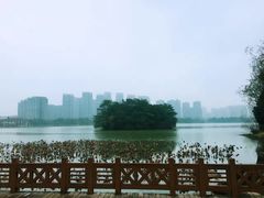 -圣爵菲斯大酒店(长沙世界之窗店)